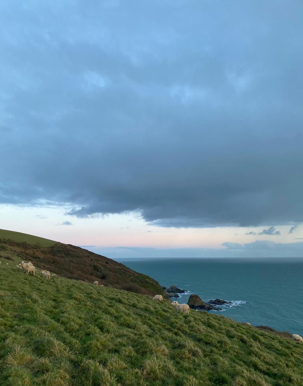 Piran, Little Tregue Lägenhet Polperro Exteriör bild